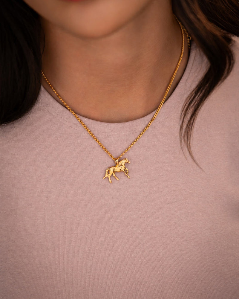 COLLARES